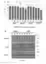 Fig. 13 - Compositions and Methods for the Treatment of Diseases Associated with Aberrant Cilia Assembly and Regulation