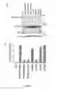 Fig. 48 - Compositions and Methods for the Treatment of Diseases Associated with Aberrant Cilia Assembly and Regulation