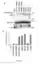 Fig. 49 - Compositions and Methods for the Treatment of Diseases Associated with Aberrant Cilia Assembly and Regulation