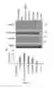 Fig. 50 - Compositions and Methods for the Treatment of Diseases Associated with Aberrant Cilia Assembly and Regulation
