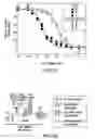 Fig. 07 - LYSINE RIBOSWITCHES, STRUCTURE-BASED COMPOUND DESIGN WITH LYSINE RIBOSWITCHES, AND METHODS AND COMPOSITIONS FOR USE OF AND WITH LYSINE RIBOSWITCHES