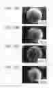 Fig. 07 - POLYSTYRENE-MALEIC ANHYDRIDE/MAGNESIUM HYDROXIDE COMPOSITE PARTICLES AND METHODS FOR PREPARING THE SAME