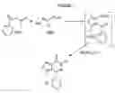 Fig. 02 - PROCESS FOR PREPARING 3-METHYL-4-PHENYLISOXAZOLO [3,4-D]PYRIDAZIN-7(6H)-ONE