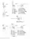 Fig. 02 - Indole compounds useful as serotonin selective agents