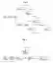 Fig. 02 - PROCESS FOR PREPARING 1,5-PENTANEDIOL AND/OR 1,6-HEXANEDIOL