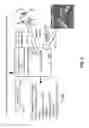 Fig. 07 - Breath analysis systems and methods for asthma, tuberculosis and lung cancer diagnostics and disease management