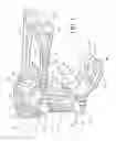Fig. 02 - Ankle brace