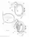 Fig. 02 - Apparatus and method for delivering a therapeutic agent to ocular tissue