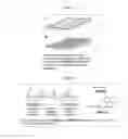Fig. 02 - BIOADHESIVE CONSTRUCTS