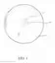 Fig. 02 - Breast implants and methods of manufacture