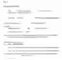 Fig. 09 - Method of Promotion and Advertisement Via the Background of a Website