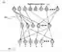 Fig. 01 - COGNITIVE PATTERN MATCHING SYSTEM WITH BUILT-IN CONFIDENCE MEASURE