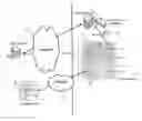 Fig. 01 - METHOD AND SYSTEM FOR GENERATING DIGITAL CERTIFICATES AND CERTIFICATE SIGNING REQUESTS