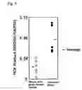 Fig. 06 - Method for diagnosis of severity and prediction of recurrence in eosinophilic inflammatory disease