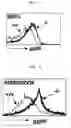 Fig. 06 - METHOD FOR SCREENING IMMUNE MODULATOR