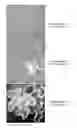 Fig. 01 - Methods of Reducing Repeat-Induced Silencing of Transgene Expression and Improved Fluorescent Biosensors
