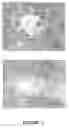 Fig. 02 - Method for Producing Stem Cells or Stel Cell-Like Cells from Mammalian Embryos