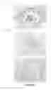 Fig. 09 - Method for Producing Stem Cells or Stel Cell-Like Cells from Mammalian Embryos