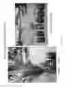 Fig. 08 - Methods of producing haploid and doubled haploid oil palms