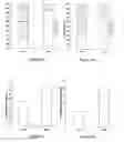 Fig. 09 - Plant responses