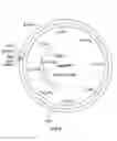 Fig. 07 - Nucleic acids encoding anthelmintic agents and plants made therefrom
