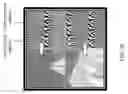 Fig. 28 - Probes for enhanced magnetic force microscopy resolution