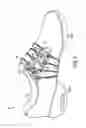 Fig. 02 - Dance shoe
