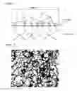 Fig. 02 - Method for Cr-plating of mandrel bars, the mandrel bar, and process for producing seamless tubes using the method and the mandrel bar