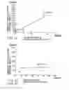 Fig. 09 - PARTICLE-MEASURING SYSTEM AND PARTICLE-MEASURING METHOD