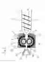 Fig. 02 - High-pressure forming process for tobacco material