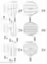 Fig. 09 - Methods and apparatus for cleaning semiconductor wafers