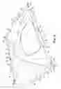Fig. 03 - Tent with fold indicators