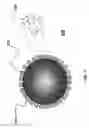 Fig. 02 - FULLERENE-CAPPED GROUP IV SEMICONDUCTOR NANOPARTICLES AND DEVICES MADE THEREFROM