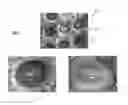 Fig. 05 - Bonding of elastomeric substrate under stretched conditions