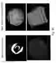 Fig. 45 - Nanofiber surface for use in enhanced surfaces area appications