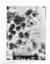 Fig. 02 - POROUS IRON OXIDE AND METHOD FOR PRODUCING THE SAME AND METHOD FOR TREATING SOLUTIONS
