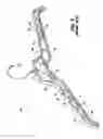 Fig. 02 - Garment hanger