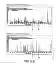 Fig. 08 - Apparatus and Method for Filtration to Enhance the Detection of Peaks