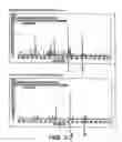 Fig. 09 - Apparatus and Method for Filtration to Enhance the Detection of Peaks