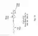Fig. 19 - Nanocrystal doped matrixes