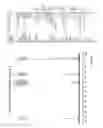 Fig. 25 - Nanocrystal doped matrixes