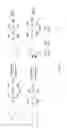 Fig. 41 - Nanocrystal doped matrixes