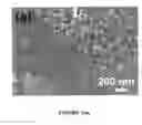 Fig. 02 - Synthesis for catalysis of bifunctional perovskite compound