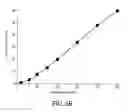 Fig. 09 - Structure comprises an As-deposited doped single crystalline Si-containing film