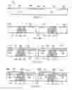 Fig. 09 - Semiconductor device and method of forming a conductive via-in-via structure