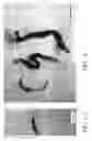 Fig. 02 - GRAPHITE NANOPLATELETS FOR THERMAL AND ELECTRICAL APPLICATIONS