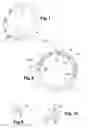 Fig. 07 - Rotating electrical machine