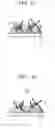 Fig. 02 - COMPOSITION FOR INTEGRATED CATHODE-ELECTRON EMISSION SOURCE, METHOD OF FABRICATING INTEGRATED CATHODE-ELECTRON EMISSION SOURCE, AND ELECTRON EMISSION DEVICE USING THE SAME