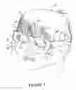 Fig. 02 - Children's sunglasses