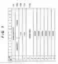 Fig. 08 - Data transmission system and apparatus for copying or backup